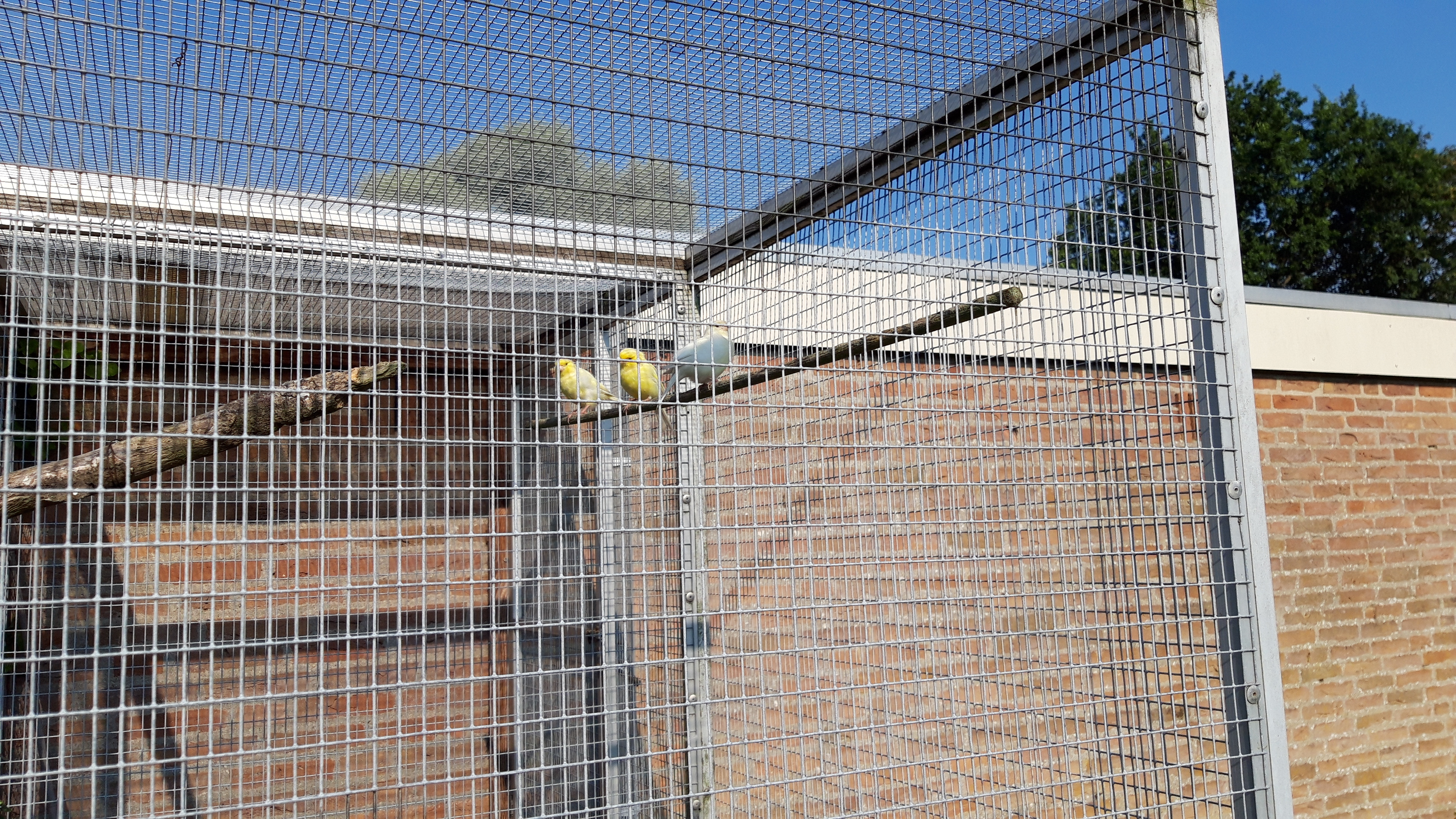 Niet alleen om vogels blij te maken