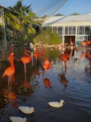 616024466_1281196693818751_3058494246182578078_n