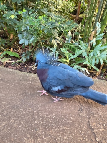 616017984_1281196617152092_7587028955106222503_n